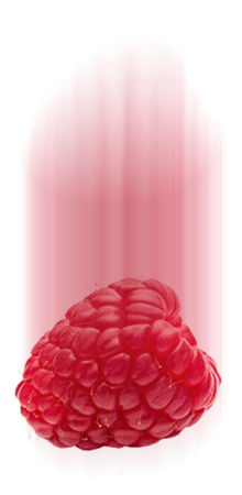 raspberry